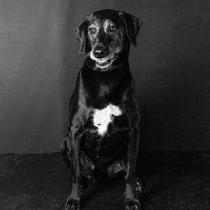 Fundraising Page: Axel Fields